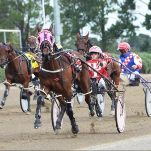 Harness Race Event